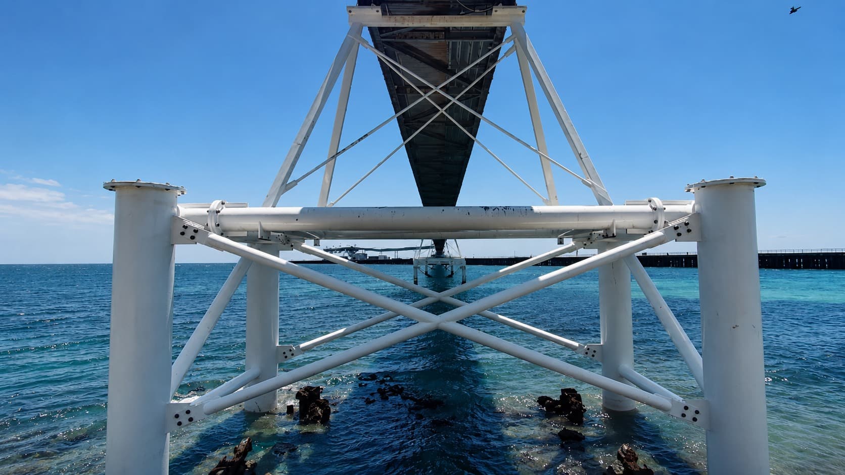 Marine — photo 11